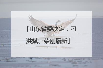 山东省委决定：刁洪斌、荣刚履新