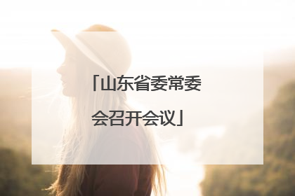 山东省委常委会召开会议