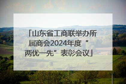 山东省工商联举办所属商会2024年度“两优一先”表彰会议