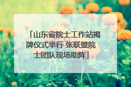 山东省院士工作站揭牌仪式举行 张联盟院士团队现场助阵