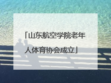 山东航空学院老年人体育协会成立