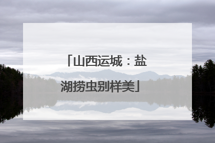 山西运城：盐湖捞虫别样美
