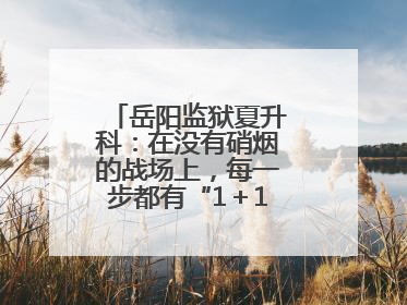 岳阳监狱夏升科：在没有硝烟的战场上，每一步都有“1＋1＝2”的笃定