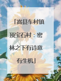 嵩县车村镇顶宝石村：密林之下有诗意有生机