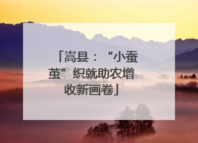 嵩县：“小蚕茧”织就助农增收新画卷