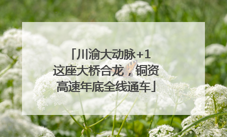 川渝大动脉+1 这座大桥合龙，铜资高速年底全线通车