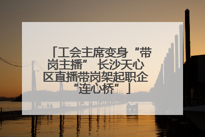 工会主席变身“带岗主播” 长沙天心区直播带岗架起职企“连心桥”