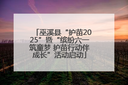 巫溪县“护苗2025”暨“缤纷六一筑童梦 护苗行动伴成长”活动启动