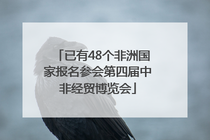 已有48个非洲国家报名参会第四届中非经贸博览会