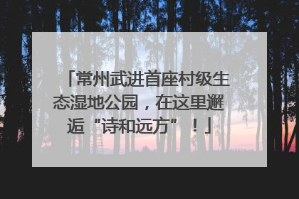 常州武进首座村级生态湿地公园，在这里邂逅“诗和远方”！