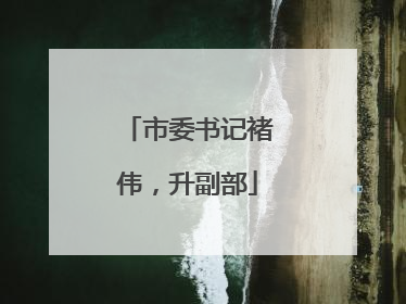 市委书记褚伟，升副部