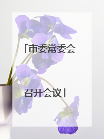 市委常委会召开会议