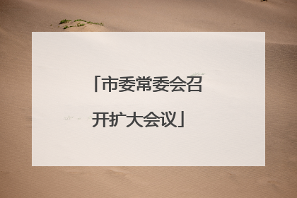 市委常委会召开扩大会议