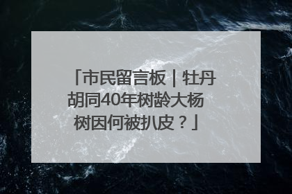 市民留言板｜牡丹胡同40年树龄大杨树因何被扒皮？