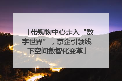 带购物中心走入“数字世界”，京企引领线下空间数智化变革