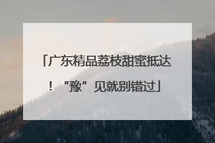 广东精品荔枝甜蜜抵达！“豫”见就别错过