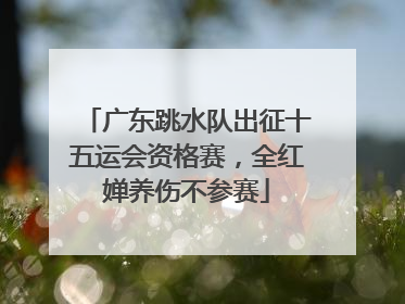 广东跳水队出征十五运会资格赛，全红婵养伤不参赛