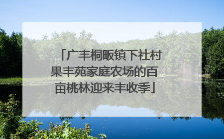 广丰桐畈镇下社村果丰苑家庭农场的百亩桃林迎来丰收季