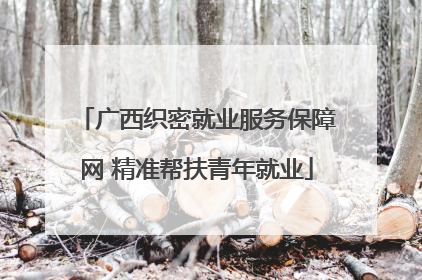 广西织密就业服务保障网 精准帮扶青年就业