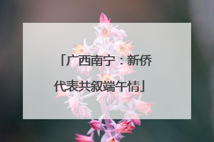广西南宁：新侨代表共叙端午情