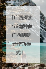 广西探索“越南种蔗+广西制糖”合作新模式