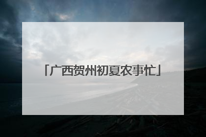 广西贺州初夏农事忙