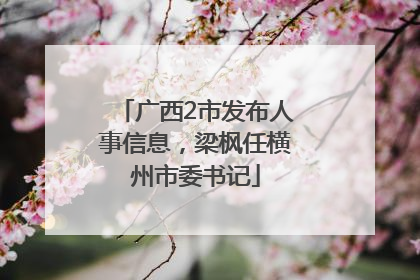广西2市发布人事信息，梁枫任横州市委书记