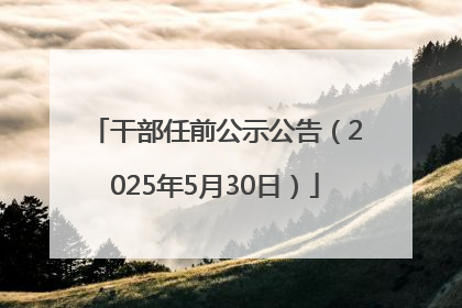 干部任前公示公告（2025年5月30日）