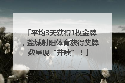 平均3天获得1枚金牌，盐城射阳体育获得奖牌数呈现“井喷”！