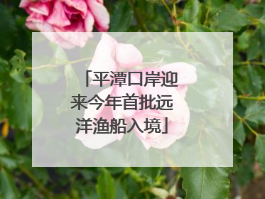 平潭口岸迎来今年首批远洋渔船入境