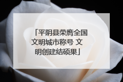 平阴县荣膺全国文明城市称号 文明创建结硕果