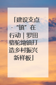 建设支点·“镇”在行动｜罗田骆驼坳镇打造乡村振兴新样板