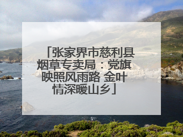 张家界市慈利县烟草专卖局：党旗映照风雨路 金叶情深暖山乡