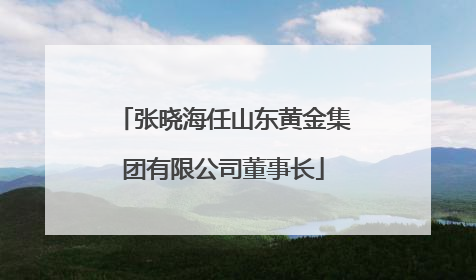 张晓海任山东黄金集团有限公司董事长