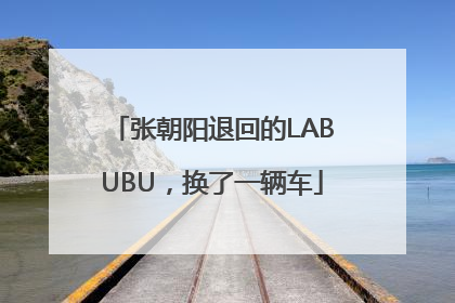 张朝阳退回的LABUBU，换了一辆车