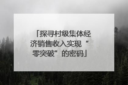 探寻村级集体经济销售收入实现“零突破”的密码