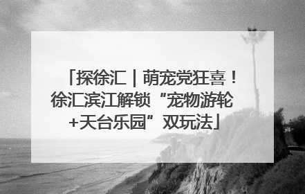探徐汇｜萌宠党狂喜！徐汇滨江解锁“宠物游轮+天台乐园”双玩法