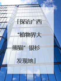 探访广西“植物界大熊猫”银杉发现地