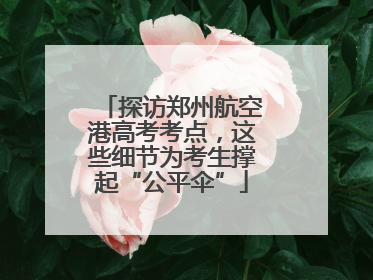 探访郑州航空港高考考点，这些细节为考生撑起“公平伞”