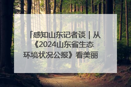 感知山东记者谈｜从《2024山东省生态环境状况公报》看美丽山东建设的“成绩单”与“任务书”