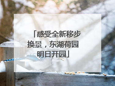 感受全新移步换景，东湖荷园明日开园