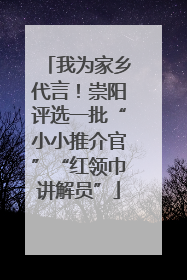 我为家乡代言！崇阳评选一批“小小推介官”“红领巾讲解员”