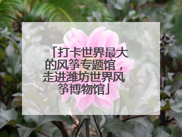 打卡世界最大的风筝专题馆，走进潍坊世界风筝博物馆