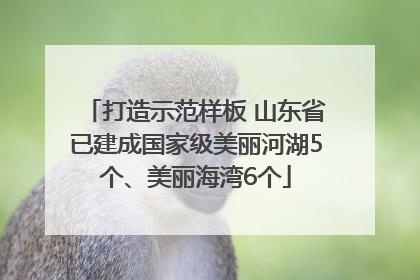 打造示范样板 山东省已建成国家级美丽河湖5个、美丽海湾6个