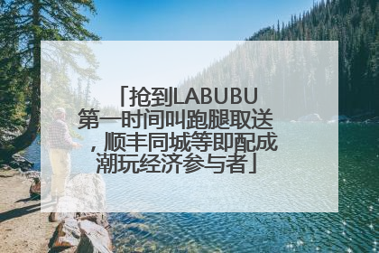 抢到LABUBU第一时间叫跑腿取送，顺丰同城等即配成潮玩经济参与者