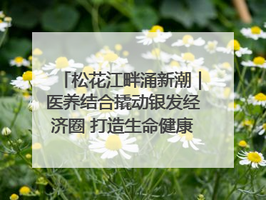 松花江畔涌新潮｜医养结合撬动银发经济圈 打造生命健康产业新样本