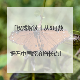 权威解读丨从5月数据看中国经济增长点