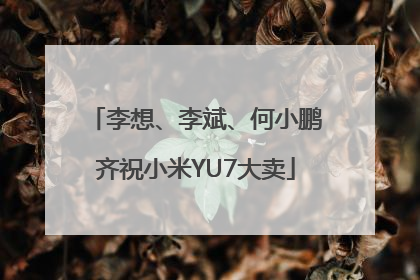 李想、李斌、何小鹏齐祝小米YU7大卖