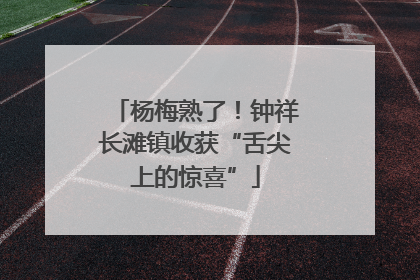 杨梅熟了！钟祥长滩镇收获“舌尖上的惊喜”