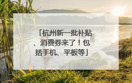 杭州新一批补贴、消费券来了！包括手机、平板等